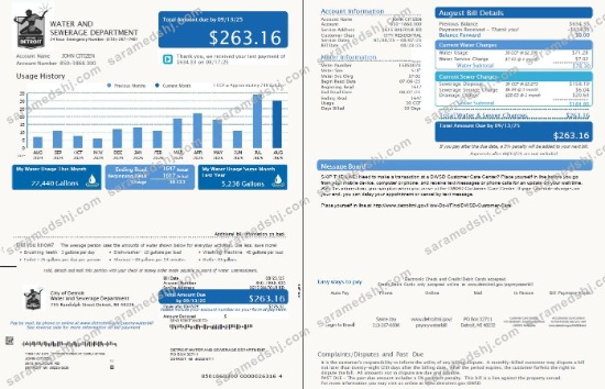 USA Detroit Water and Sewerage Department utility bill template in Word and PDF formats, 2 pages, version 5